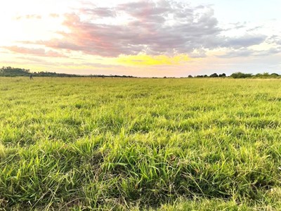 Farm for sale in Boskop, Potchefstroom