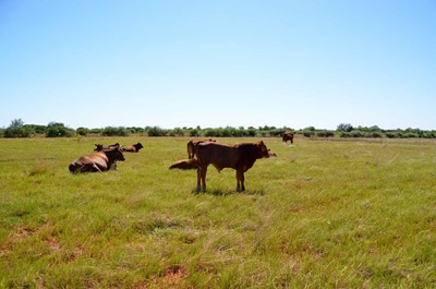 Farm for sale in Potchefstroom Rural, Potchefstroom