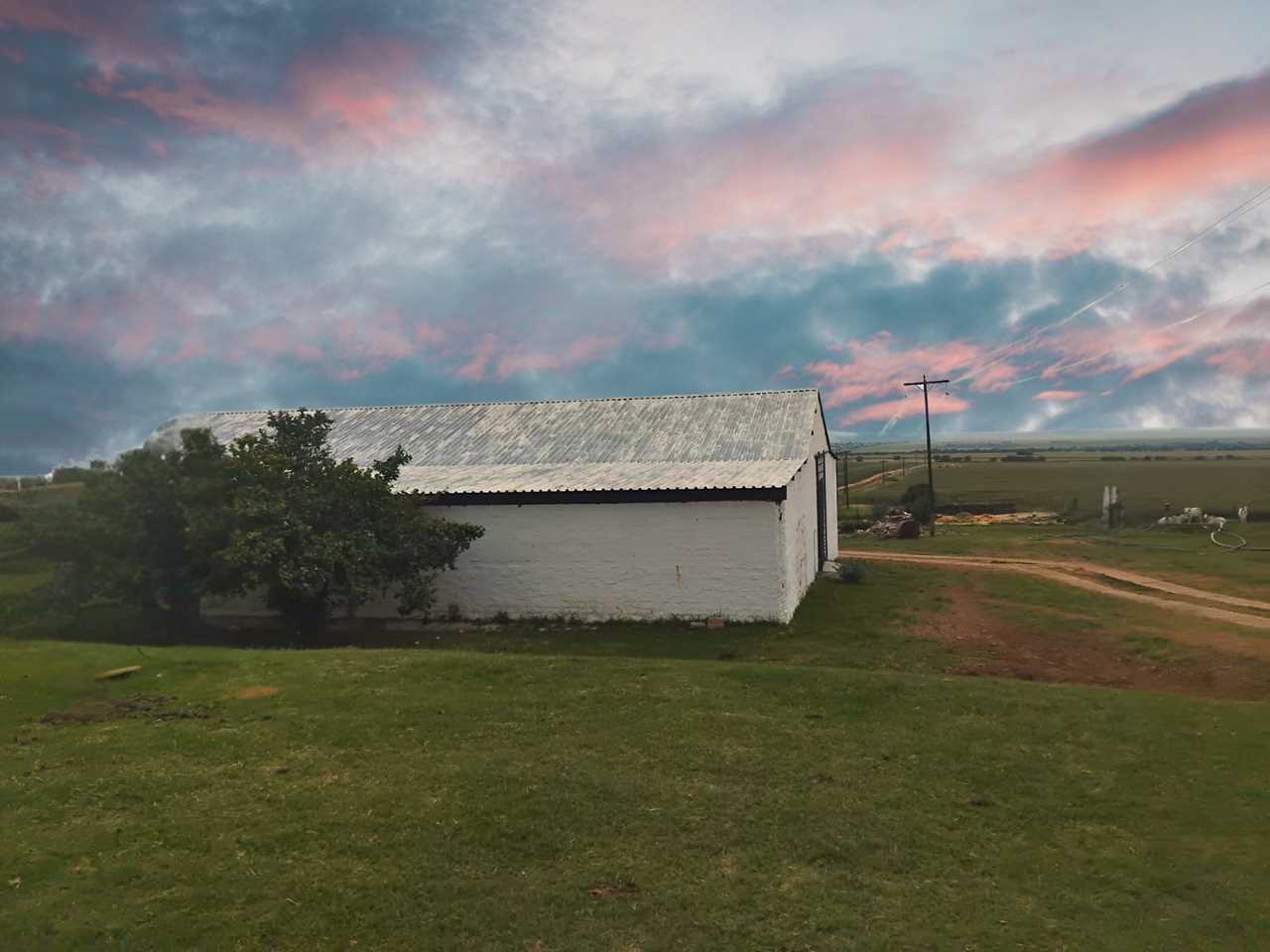 bg