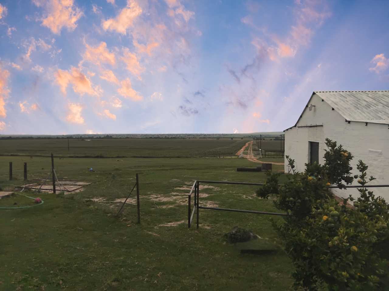 bg