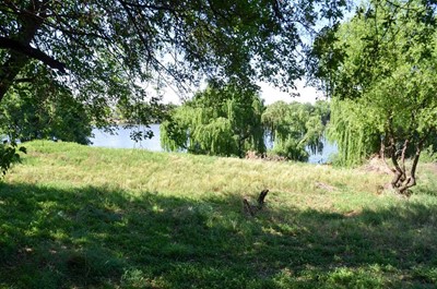 Farm for sale in Potchefstroom Rural, Potchefstroom