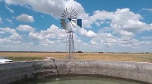 Farm for sale in Brandfort Rural, Brandfort