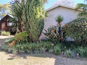 House for sale in Lyndhurst, Johannesburg
