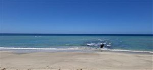 Vacant Land for sale in Paradise Beach, Jeffreys Bay